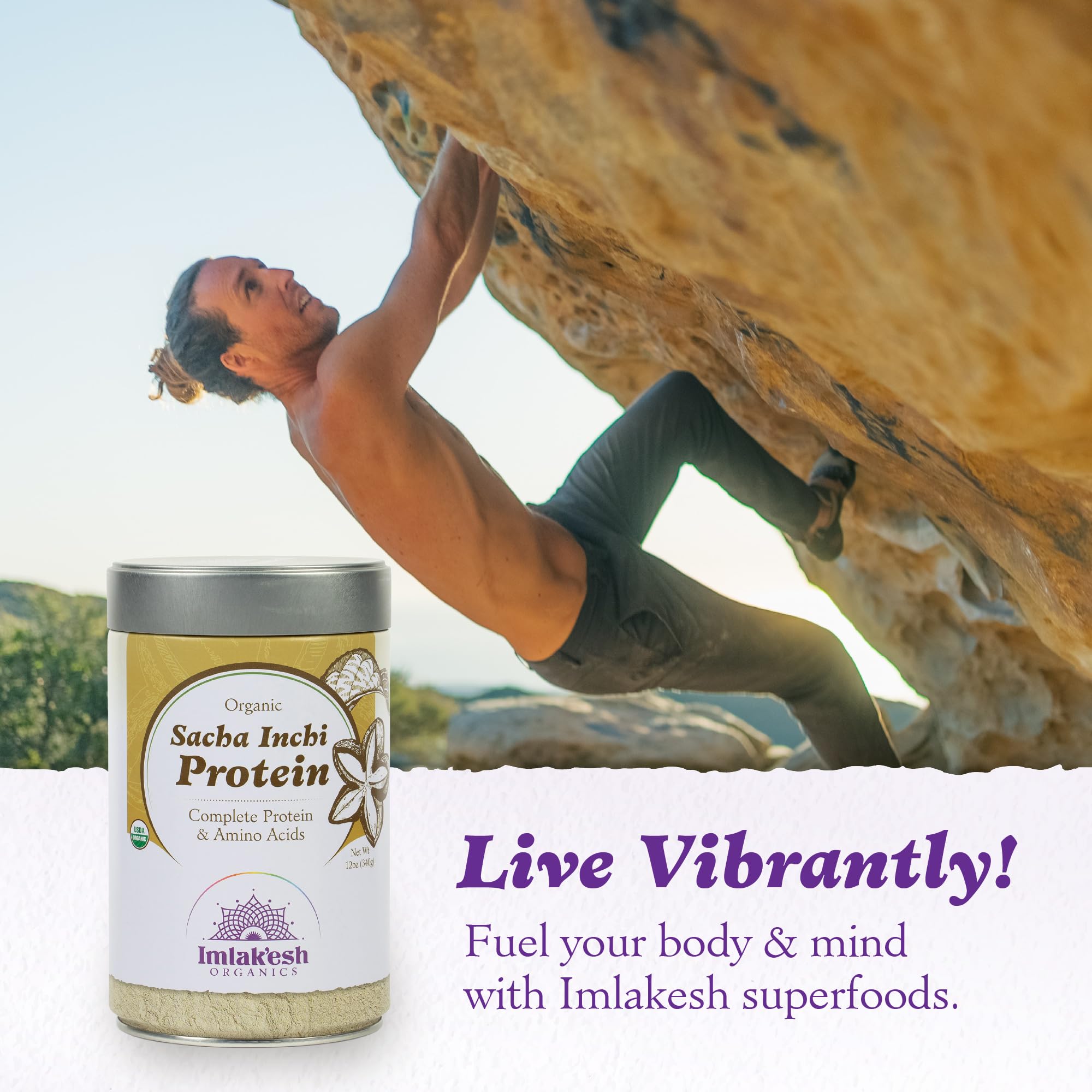 Imlak'esh Organics Sacha Inchi Protein powder scoop with oats, ideal for energizing breakfasts.