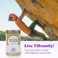 Imlak'esh Organics Sacha Inchi Protein powder scoop with oats, ideal for energizing breakfasts.