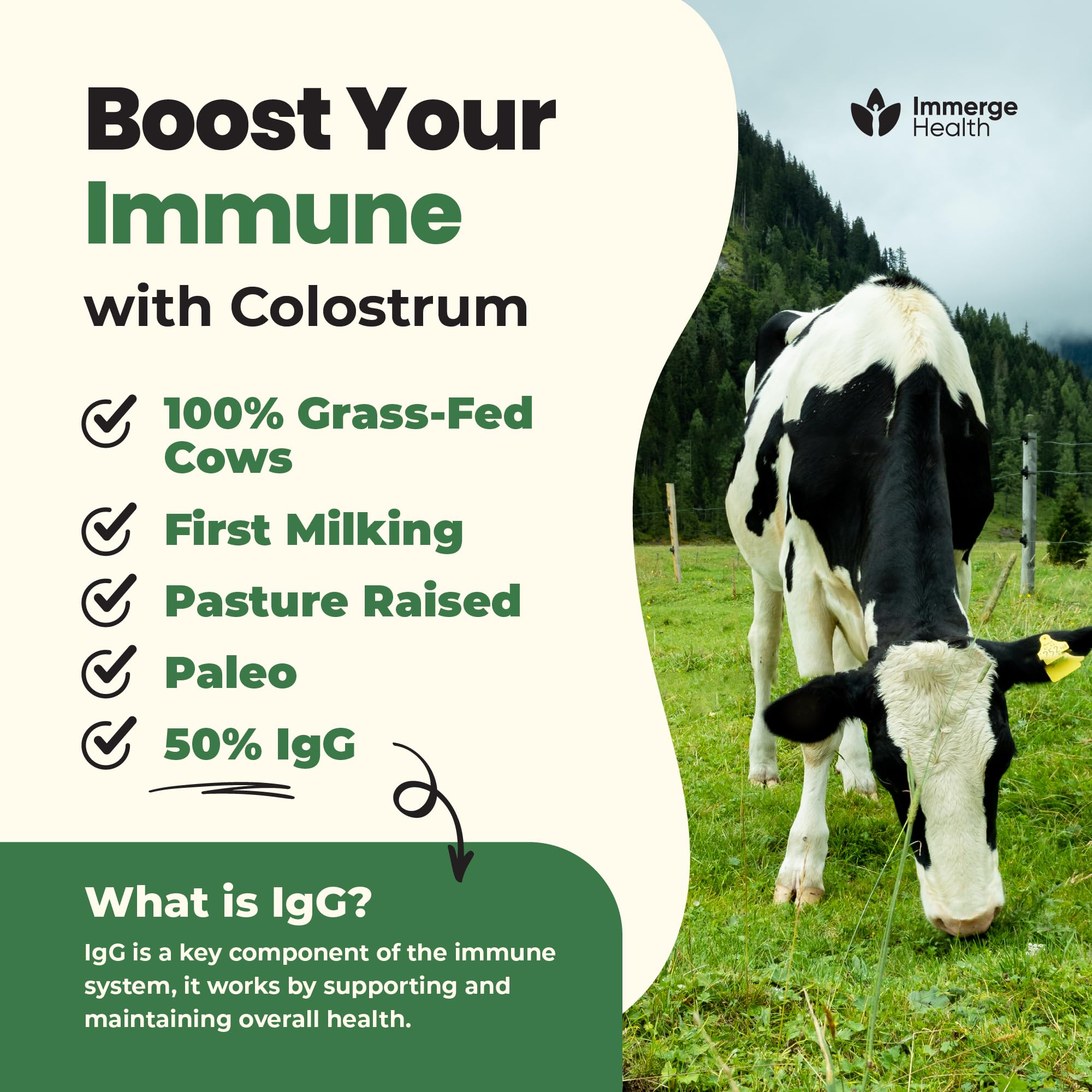 Immerge Health colostrum powder in smoothie glass blends smoothly.