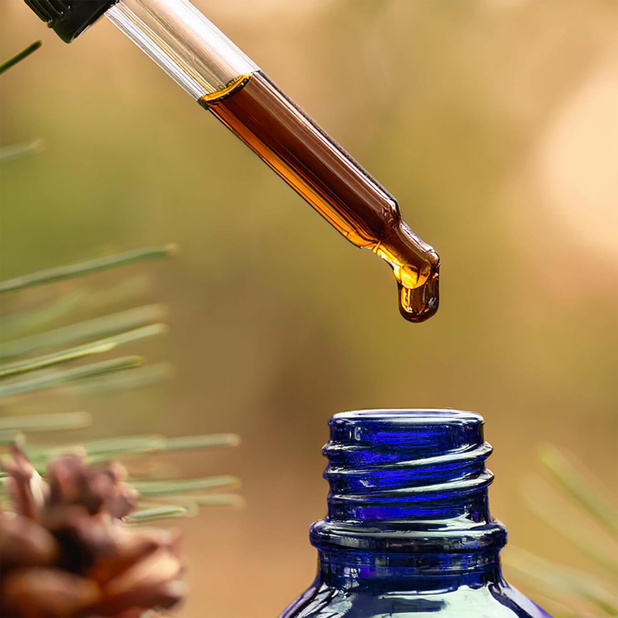Immunophen Daily immune support reminder promotes consistent wellness.