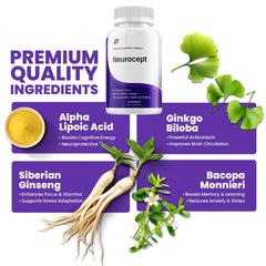 Close-up of Indelo Neurocept capsules highlighting natural blend.