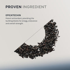 InfiniWell Epicatechin label close-up showing ingredients from cocoa, tea, and berries.