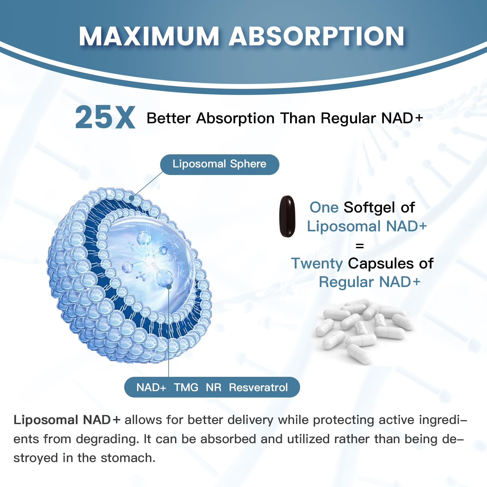 inGreens Liposomal NAD+ closeup shows trans resveratrol for antioxidant synergy