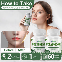 inGreens micronized polyphenols technology image illustrating enhanced absorption for daily use