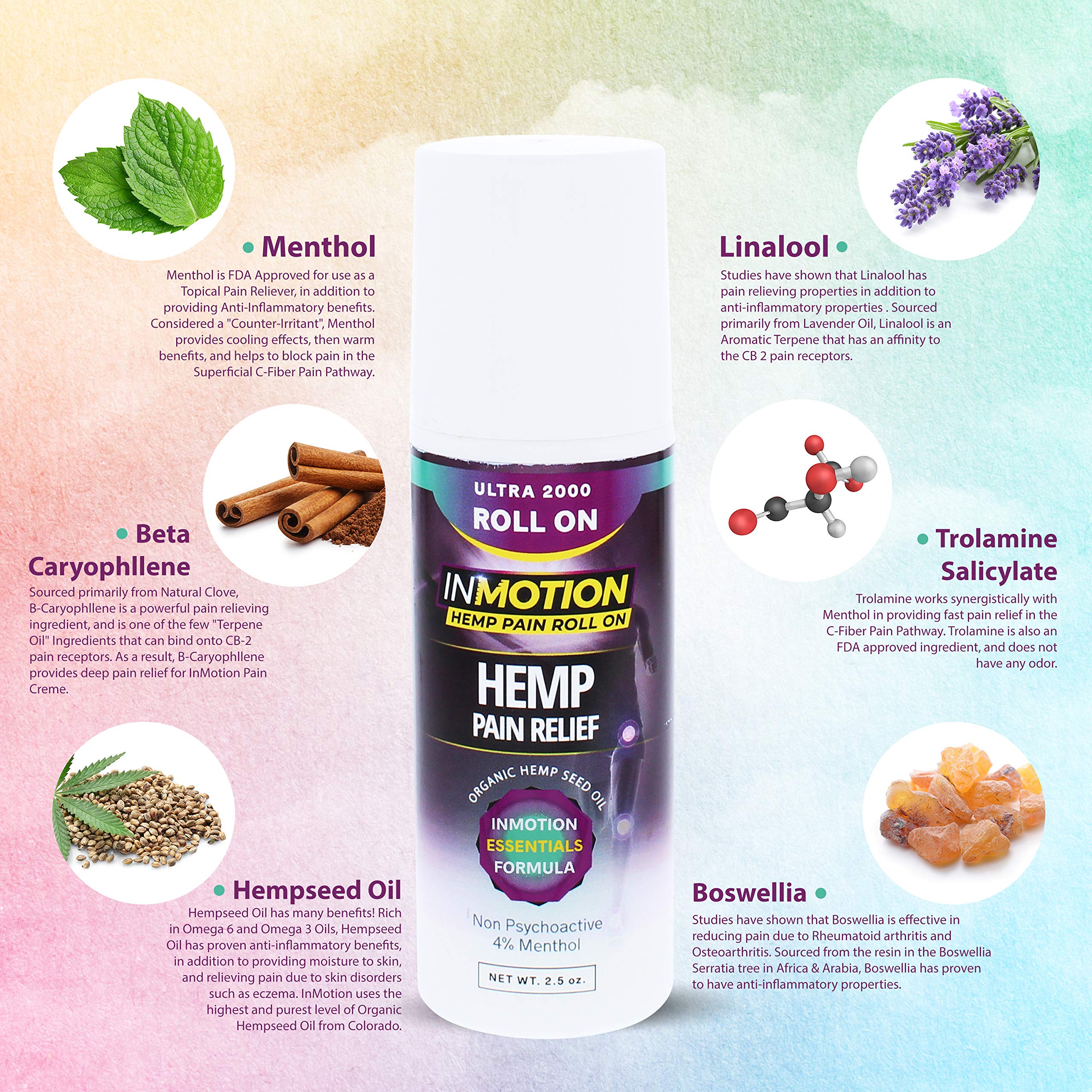 InMotion Hemp Roll On being applied to an arm for targeted relief