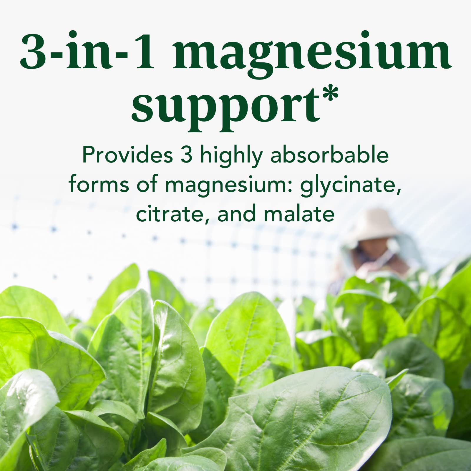 INNATE Magnesium label close-up featuring glycinate, citrate, and malate on packaging.