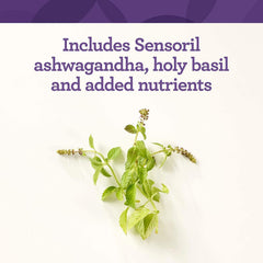 Product packaging shows gluten-free, non-GMO, kosher certifications for clean-label confidence