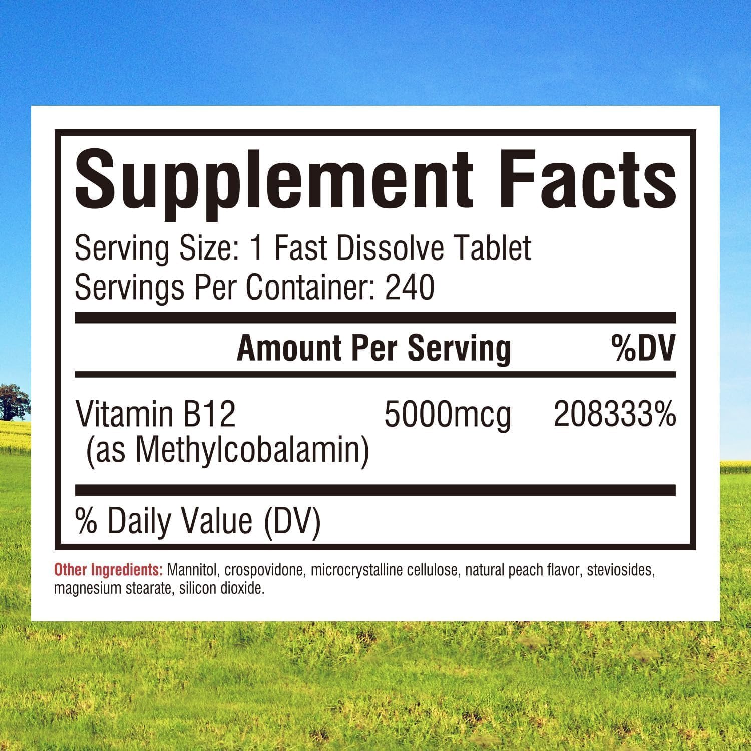 Innate Vitality sublingual tablet dissolving quickly for daytime focus