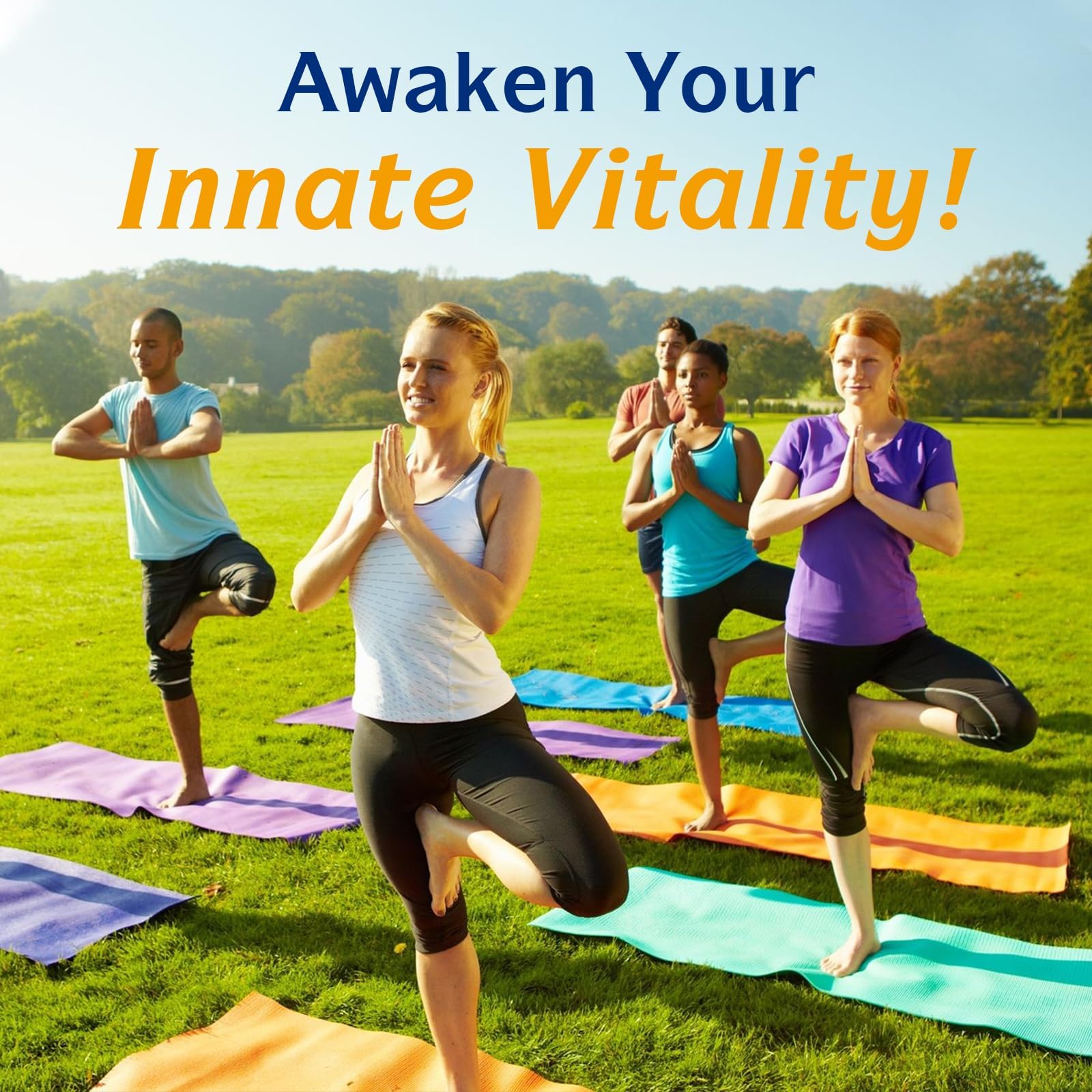 Set of Innate Vitality Omega-3 bottle with easy daily routine setup