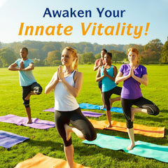 Set of Innate Vitality Omega-3 bottle with easy daily routine setup