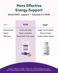 Inner Brightness NMN antioxidant blend promoting cellular resilience and health.