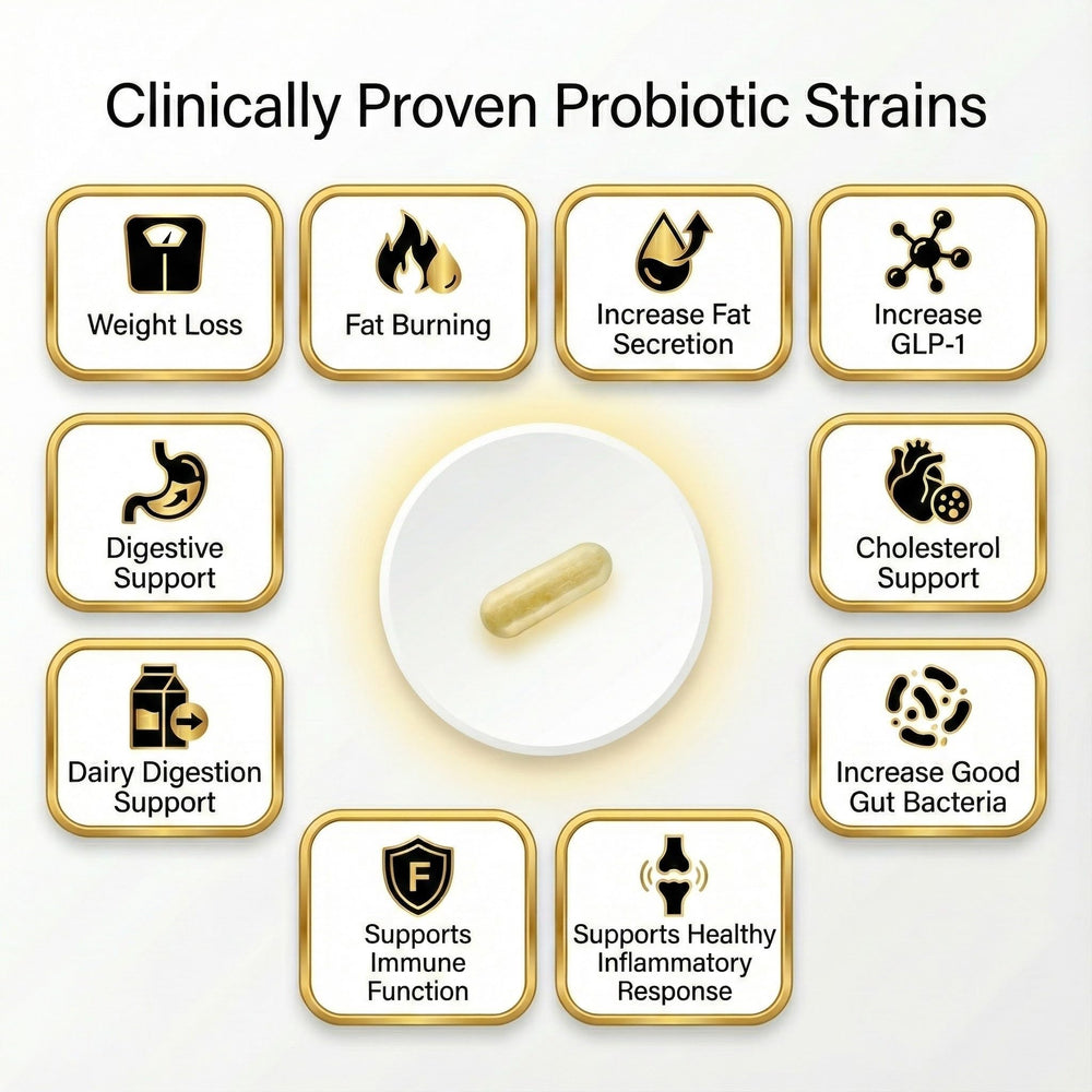 Innocuous Vitamins GLP-1 Synbiotic Manuka honey drops highlight natural prebiotic sweetness.