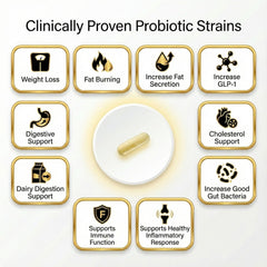 Innocuous Vitamins GLP-1 Synbiotic Manuka honey drops highlight natural prebiotic sweetness.