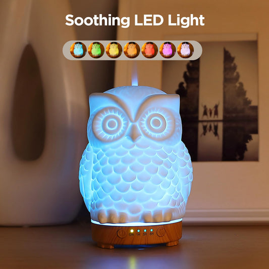 Inrorans Owl Ceramic Diffuser LED night light provides relaxing color cycles.