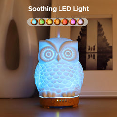 Inrorans Owl Ceramic Diffuser LED night light provides relaxing color cycles.