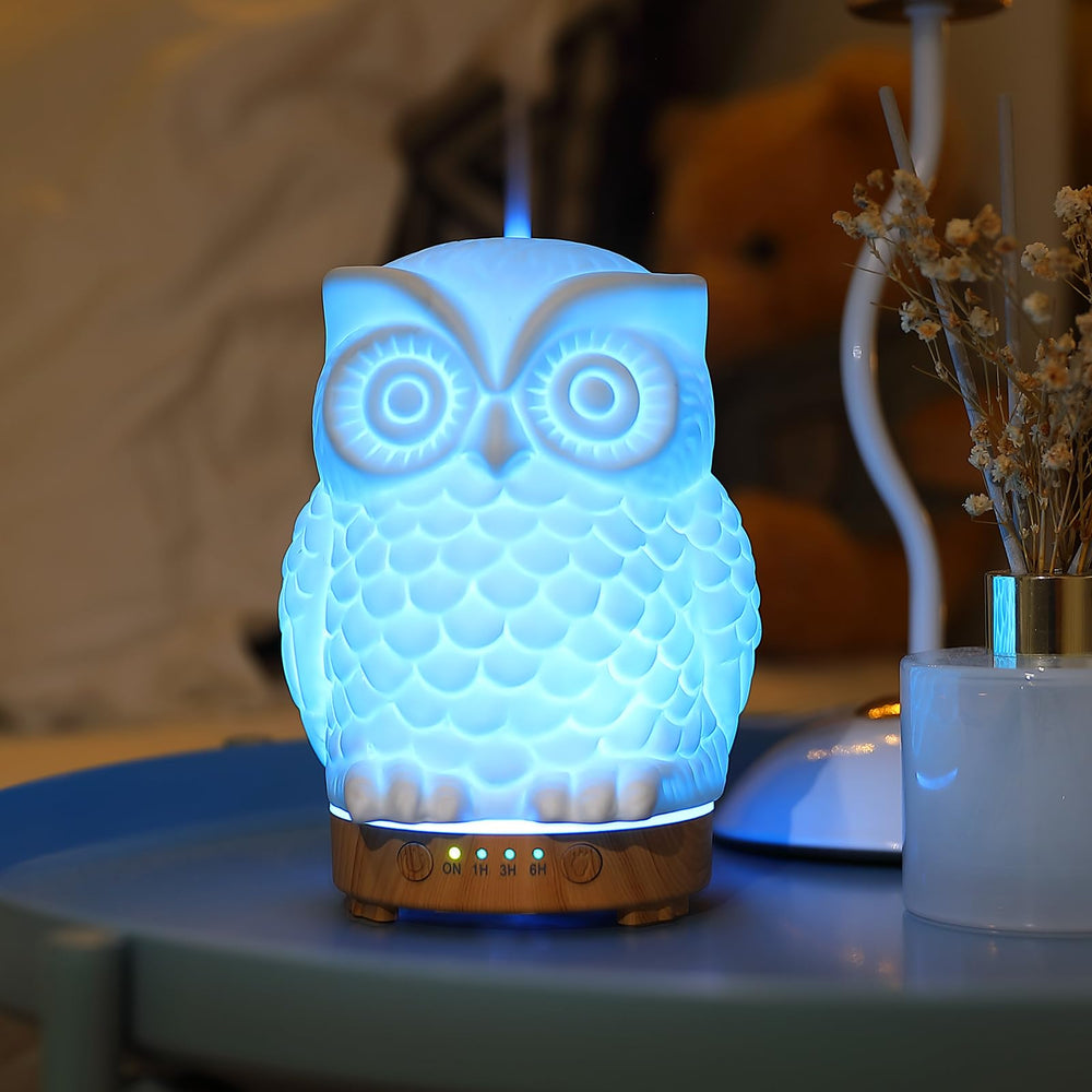Inrorans Porcelain Diffuser is BPA-free for safe home use.