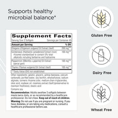Integrative Therapeutics Y Formula capsules close-up for daily intestinal support