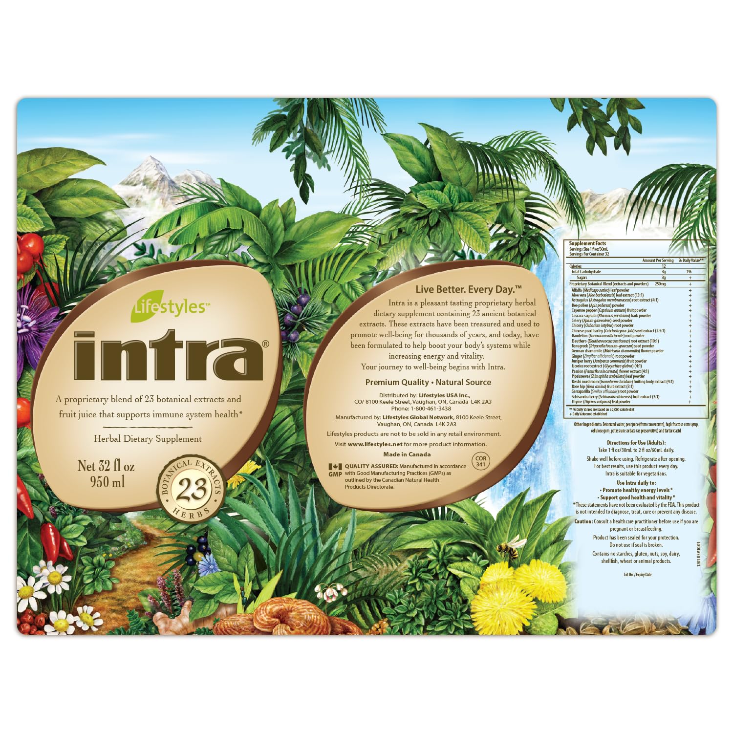 Intra Lifestyles Herbal Juice Health Setup encourages daily hydration with botanical complexity.