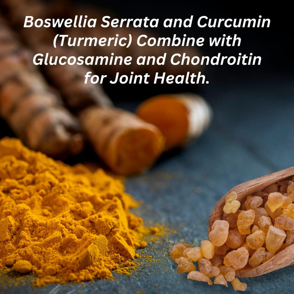 INVIGOFLEX Curcumin Boswellia blend natural antioxidant soothing support