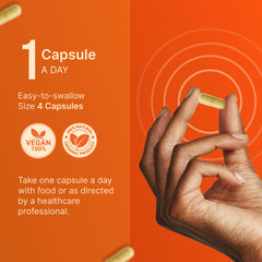 INVITA L-Methylfolate capsule close-up, small and easy to swallow.