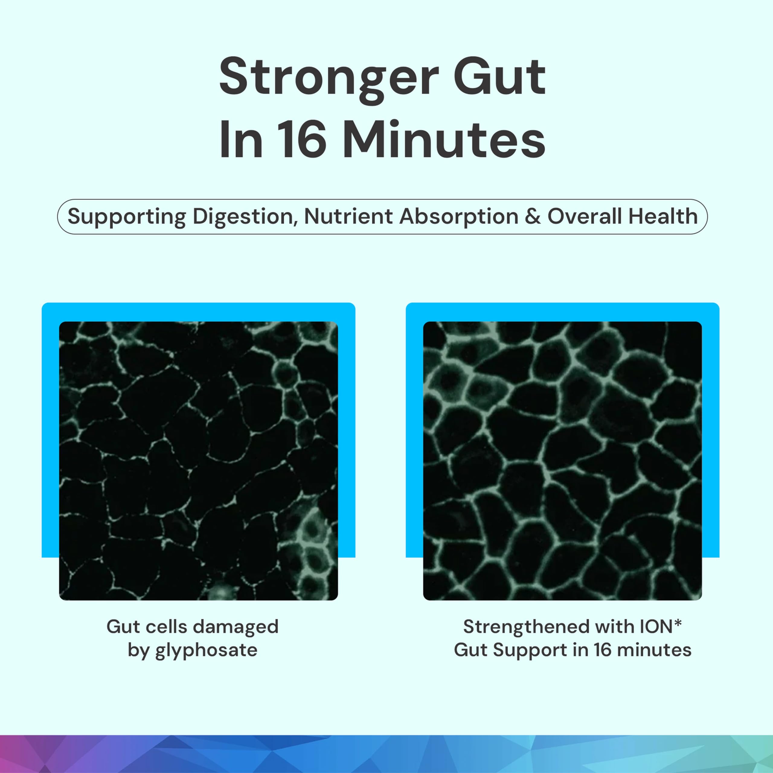ION* Gut Support Liquid drops dispensing for quick application