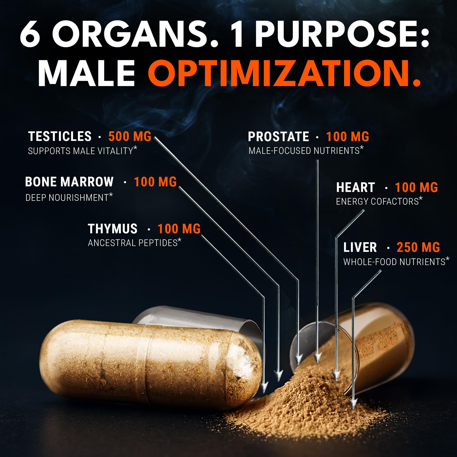 Ironclad Nutrition beef liver and bone marrow close-up highlights vitamin A, iron, and zinc.