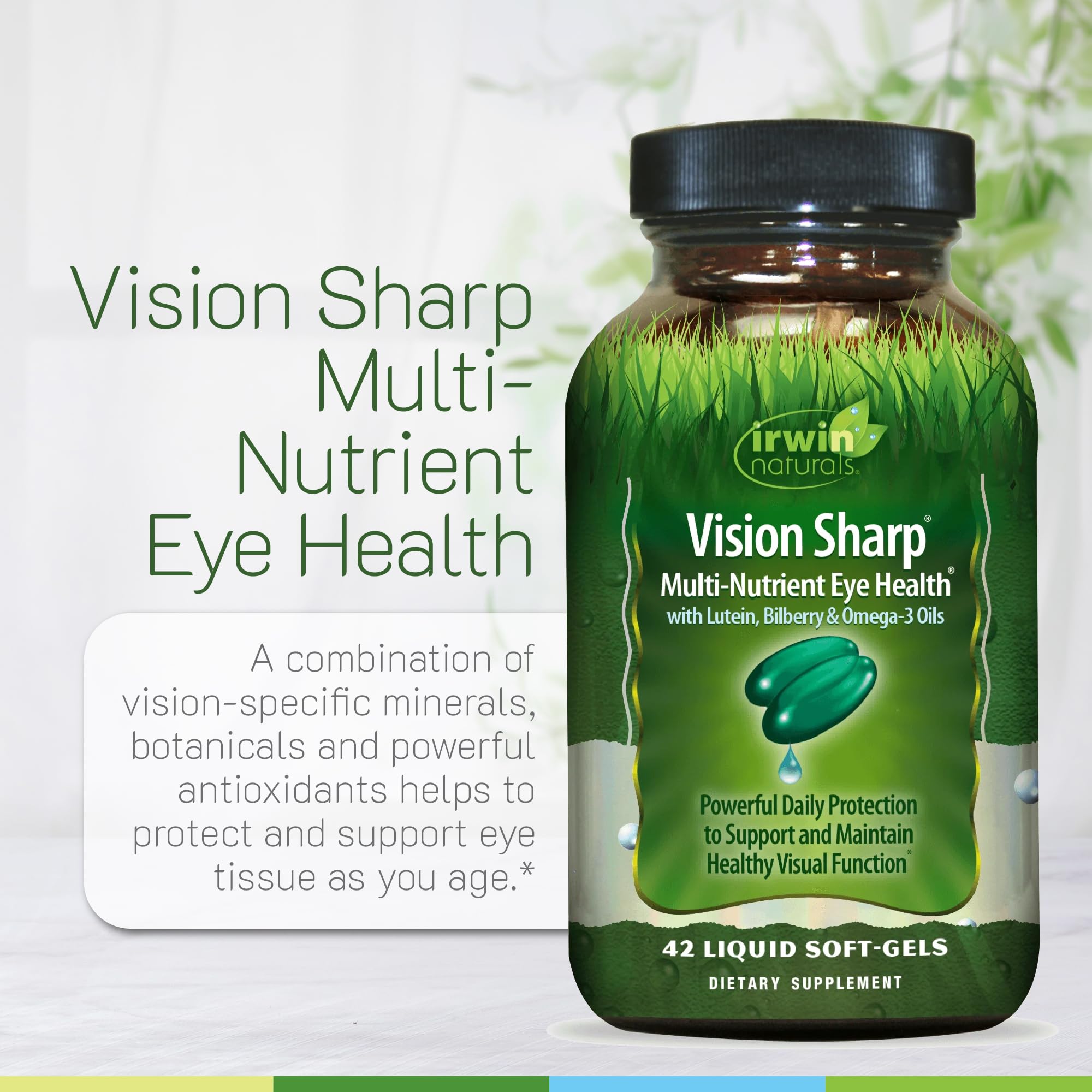 Irwin Naturals ginkgo bilberry capsules promoting ocular circulation and vascular support