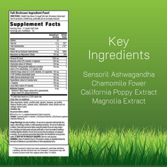 Power to Sleep PM bottle label highlights ashwagandha and calming botanicals.