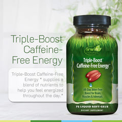 Irwin Naturals Triple Boost Energy two-pack packaging on a clean surface.