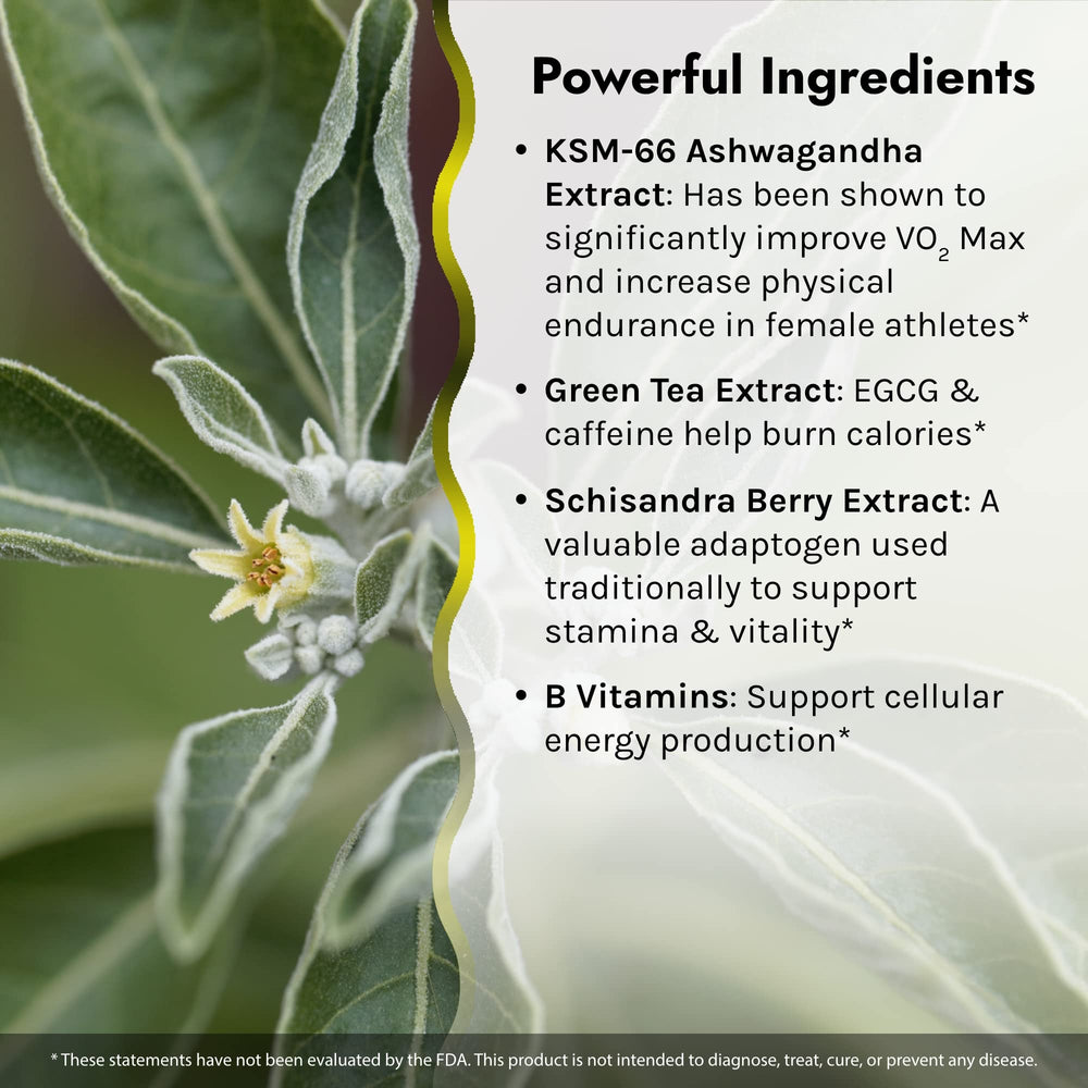 Irwin Naturals V02 Max on shelf; easy reach for everyday wellness.