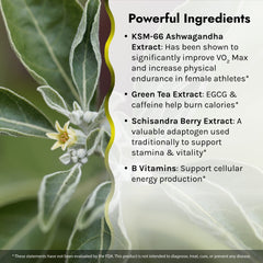 Irwin Naturals V02 Max on shelf; easy reach for everyday wellness.