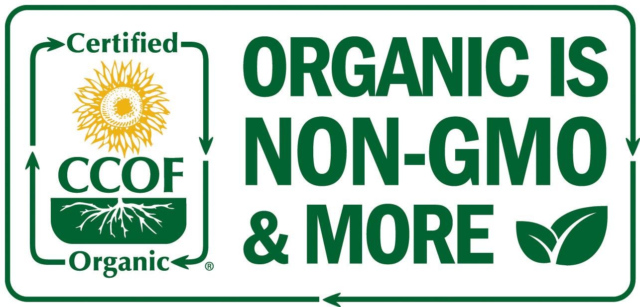 Island Nutrition oregano oil bottle resting on a kitchen counter for everyday use.