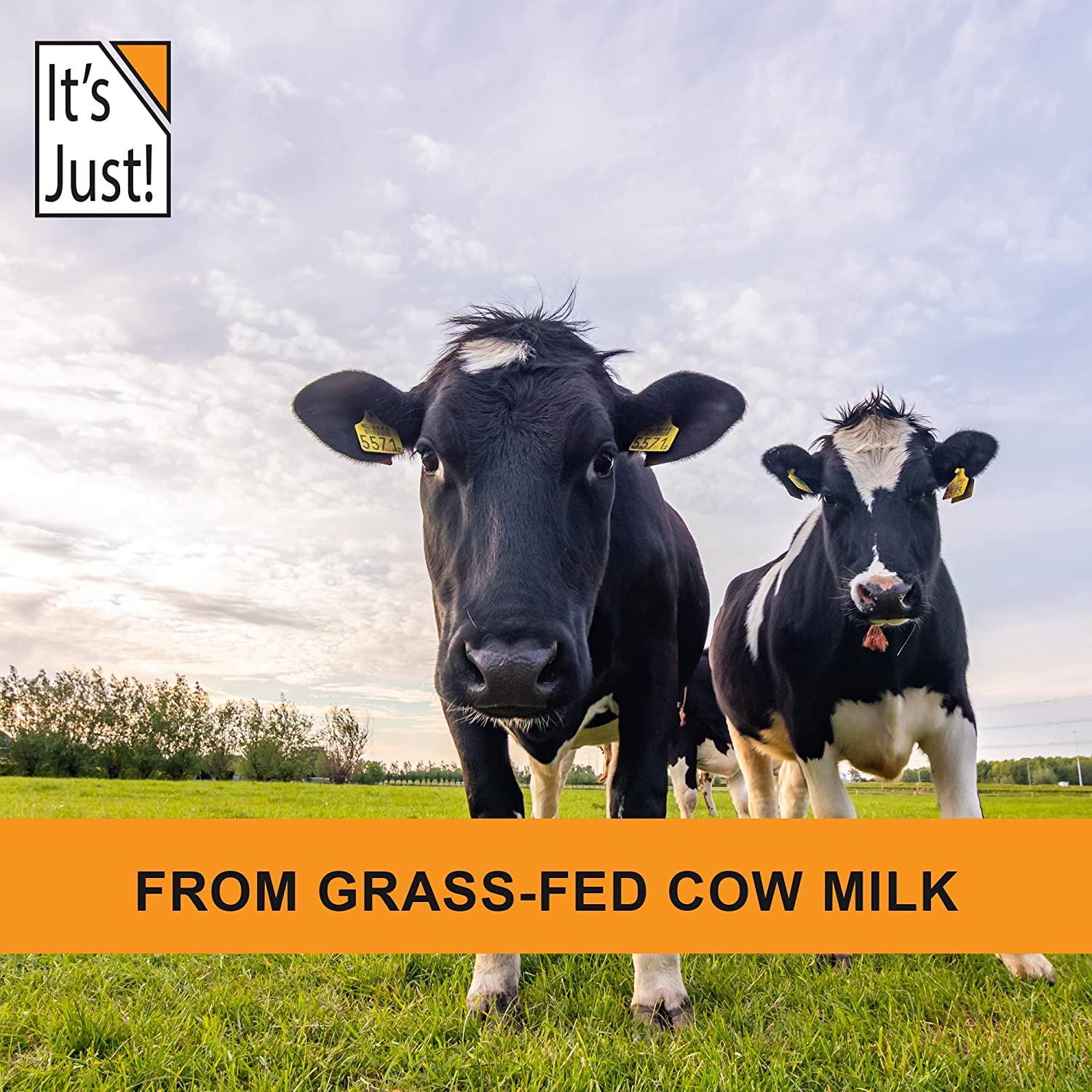 It's Just! grass-fed cows in pasture natural protein source