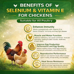 IVULTRA selenium vitamin E powder being poured into poultry feed for easy mixing.