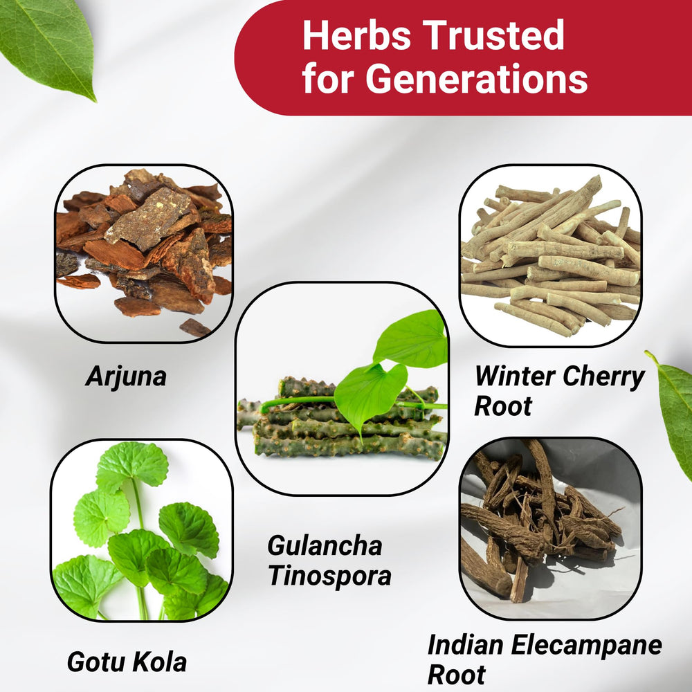Quality seal highlighting tested purity and potency.
