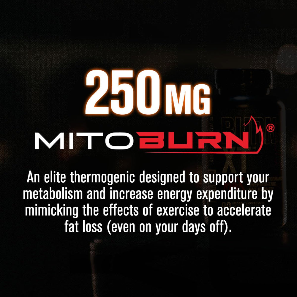 Burn-XT Max capsules close-up for precise dosing and energy support