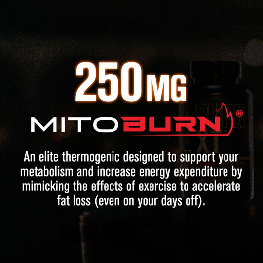 Burn-XT Max capsules close-up for precise dosing and energy support