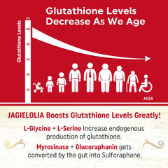 Jagielolia liposomal glutathione ingredients blend supports natural production.