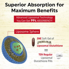 Liposomal delivery technology concept for Jagielolia glutathione illustrates enhanced absorption.