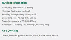 Jamieson Omega-3 + Turmeric softgels closeup shows purified oil and turmeric blend