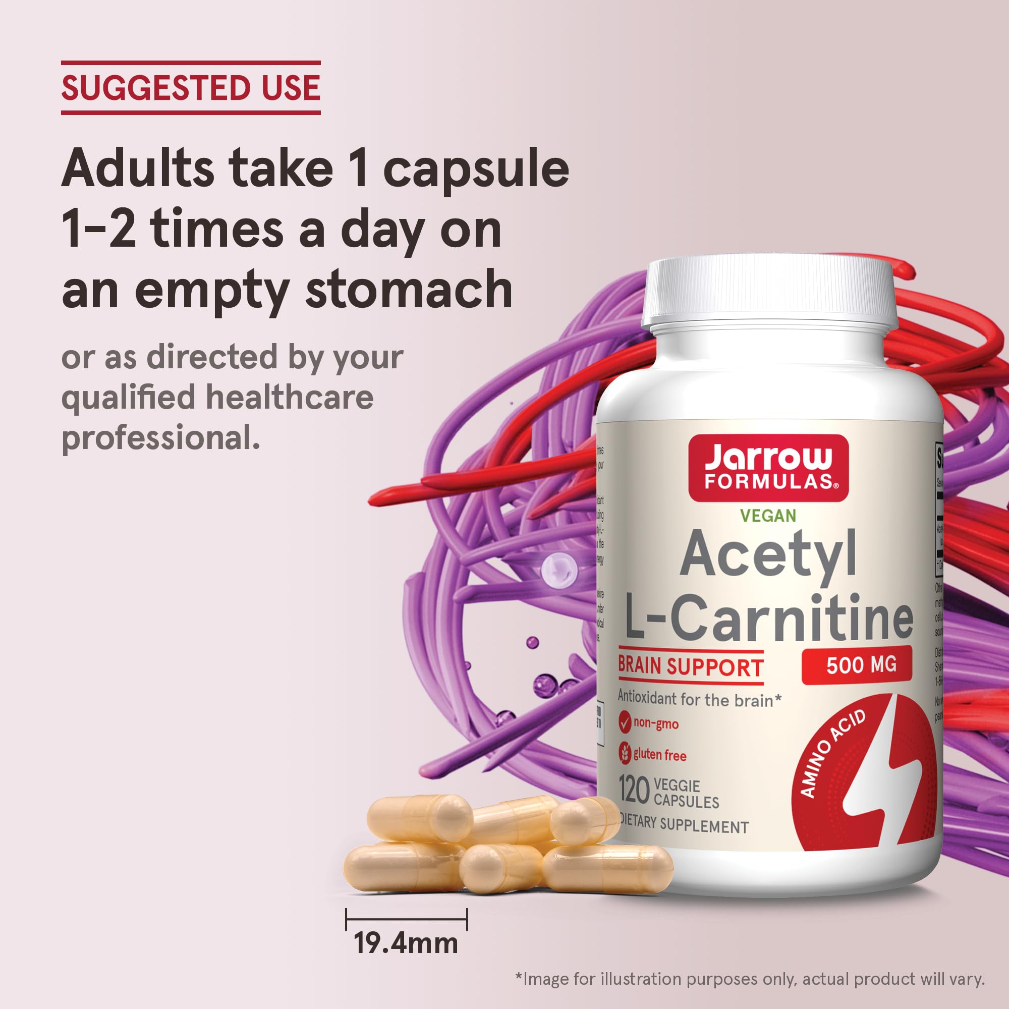Jarrow Formulas Acetyl L-Carnitine 500mg capsule—supplement for cognitive clarity.