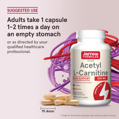 Jarrow Formulas Acetyl L-Carnitine 500mg capsule—supplement for cognitive clarity.