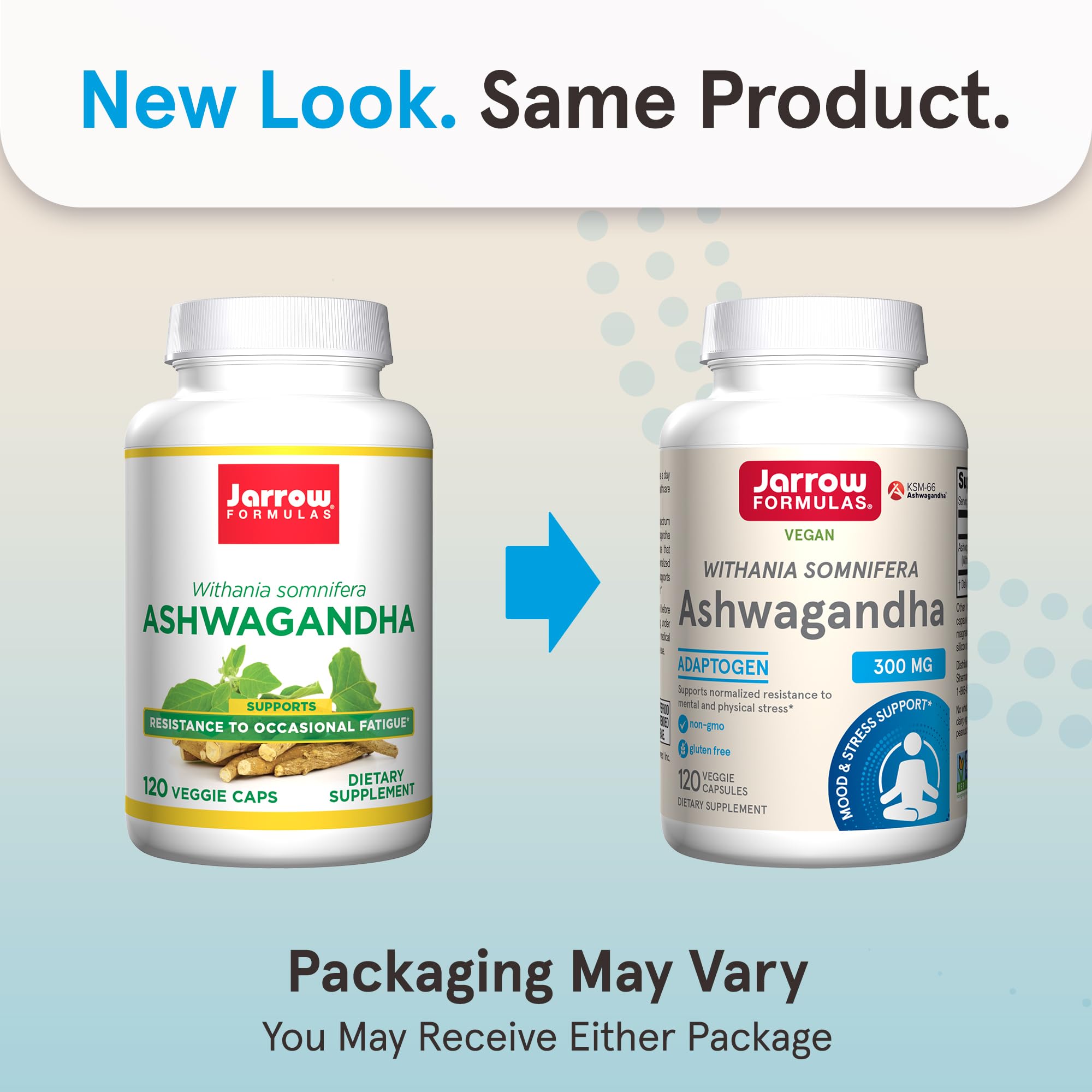Jarrow Formulas Ashwagandha 300 mg label-back lists ingredients and serving details for transparency.