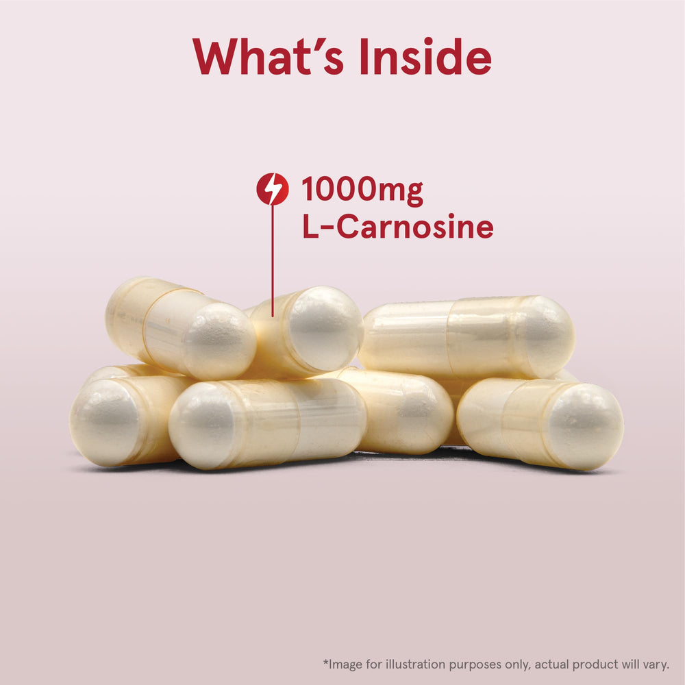 Capsules closeup showing size and color of L-Carnosine Dipeptide capsules