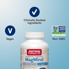 Packaging close-up showing Rhodiolife and magnesium ingredients in MagMind.