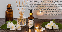 Close-up of jasmine oil droplets highlighting purity and natural fragrance.