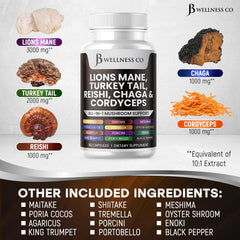 JB Wellness Co 20in1 mushroom blend bottle versatile wellness option