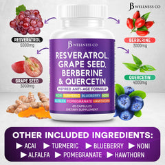JB Wellness Co berberine capsules with close-up label for metabolic balance