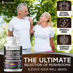JB Wellness Co reishi powder bottle delivers calm energy