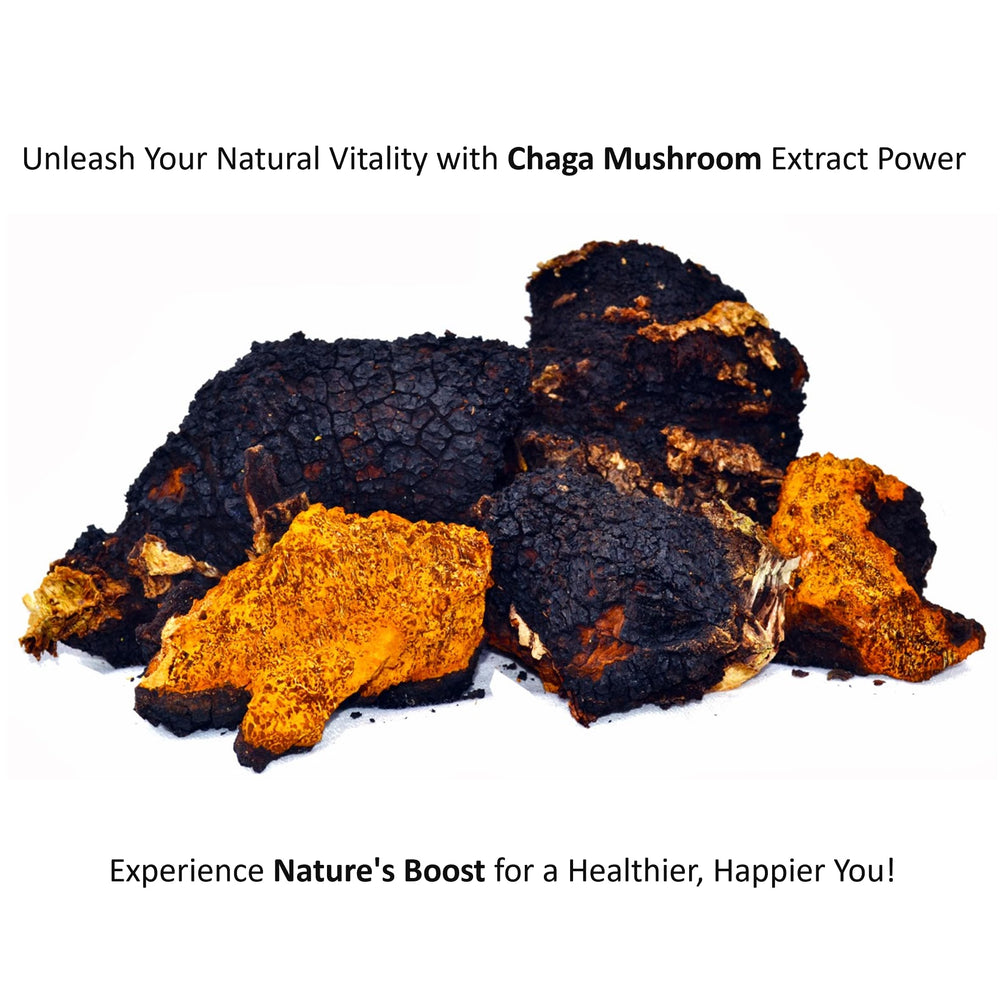 Jetsu Pure 7 Mushroom Powder lab-tested beta-glucans verified for potency